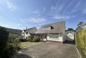 Photo 41- click for photo gallery